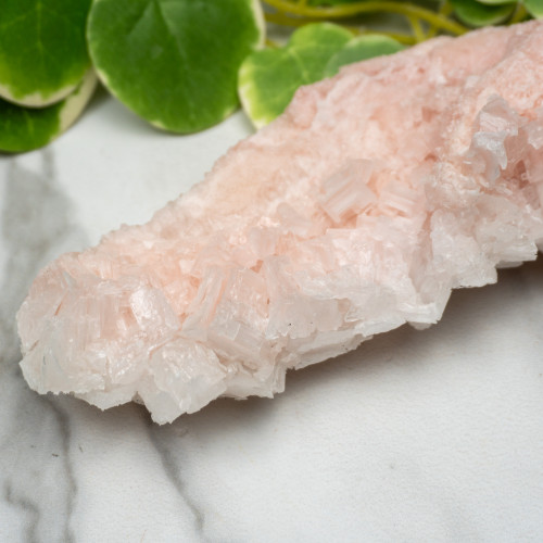 Pink Halite #13