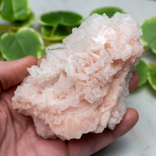 Pink Halite #12