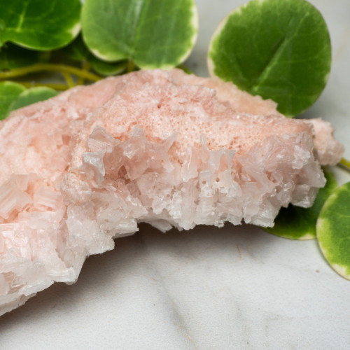 Pink Halite #13