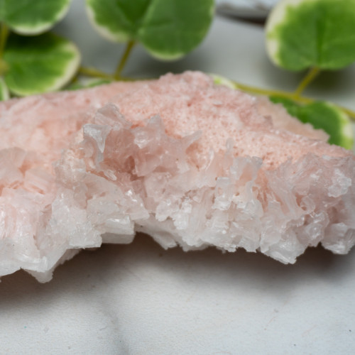 Pink Halite #13