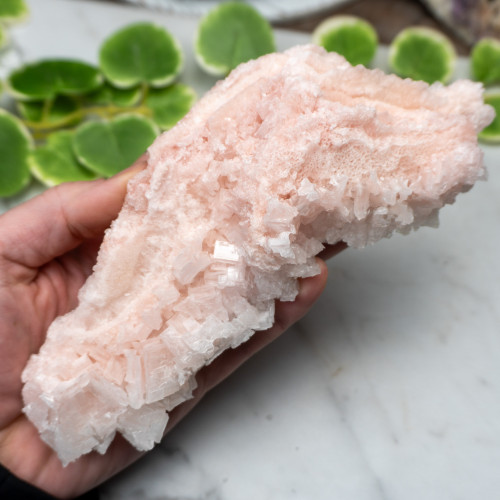 Pink Halite #13