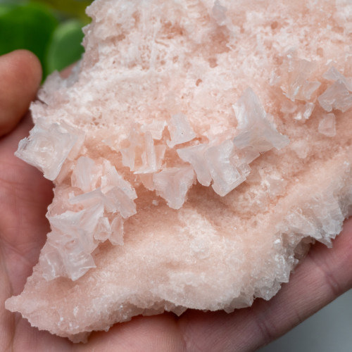 Pink Halite #11