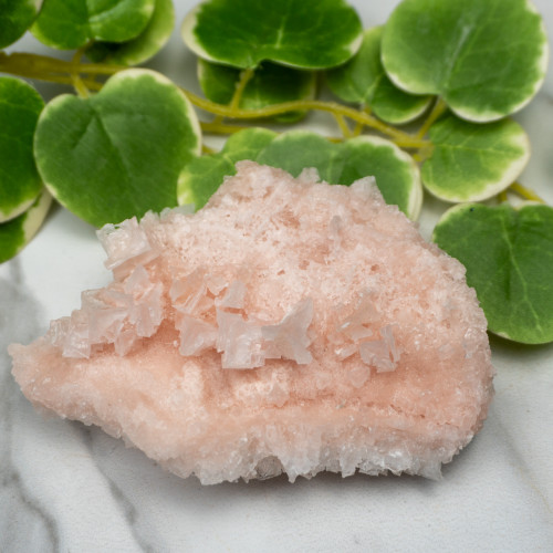 Pink Halite #11