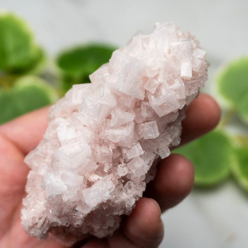 Pink Halite #10