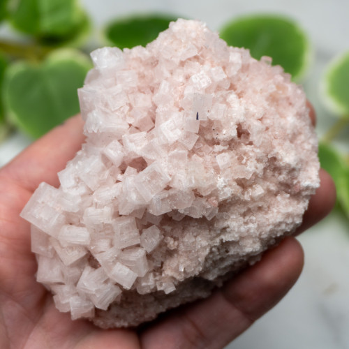Pink Halite #10