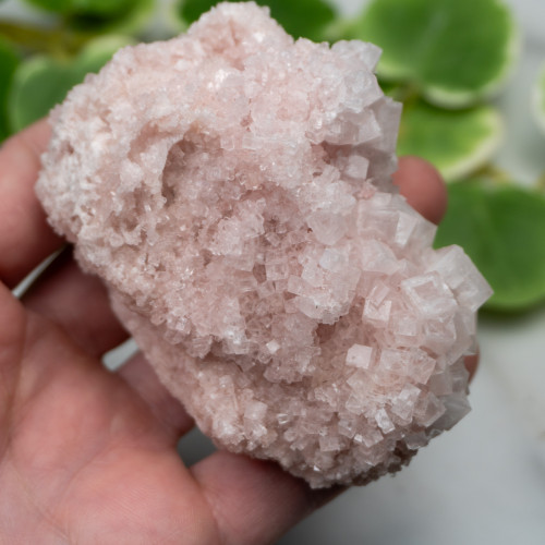 Pink Halite #10