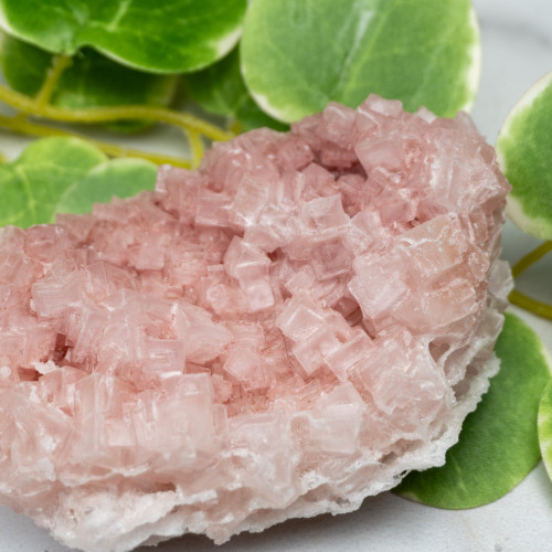 Pink Halite #9