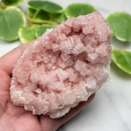 Pink Halite #9