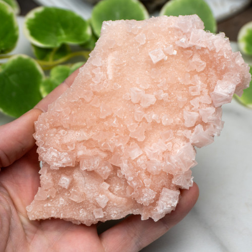 Pink Halite #7