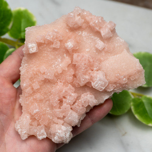Pink Halite #8