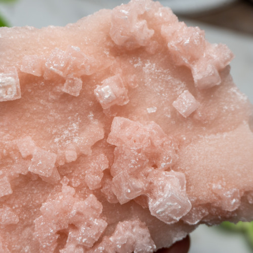 Pink Halite #8