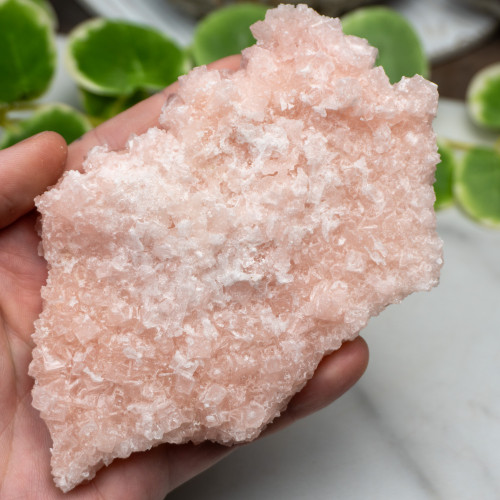 Pink Halite #7