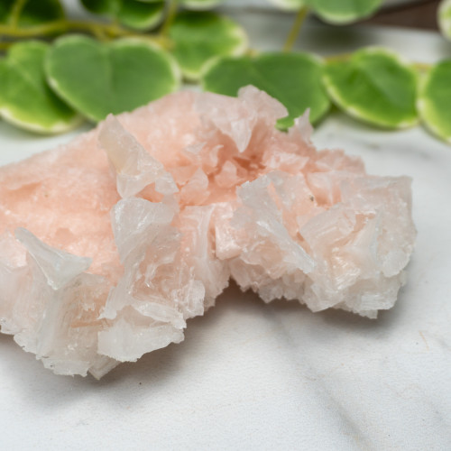 Pink Halite #6