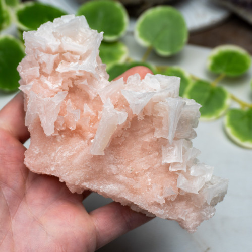 Pink Halite #6