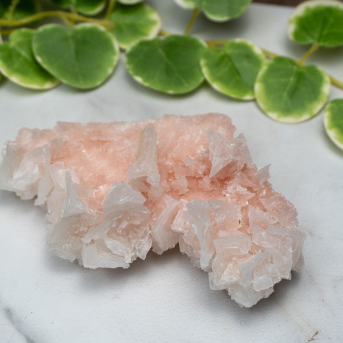 Pink Halite #6
