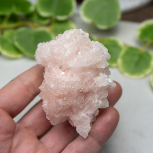 Pink Halite #5