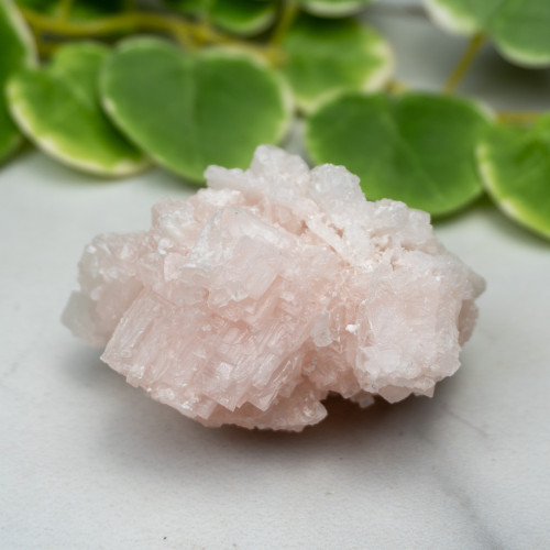 Pink Halite #5