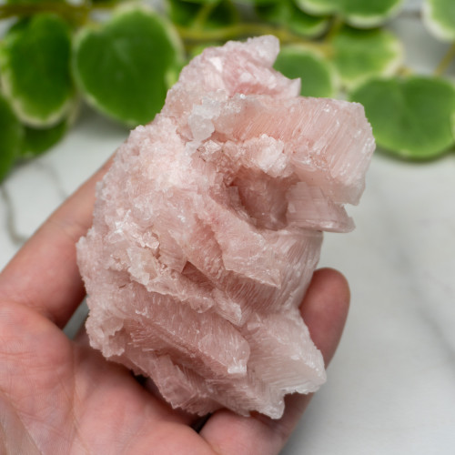 Pink Halite #4