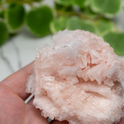 Pink Halite #3