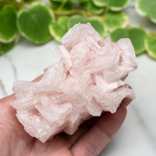Pink Halite #4