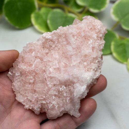 Pink Halite #2