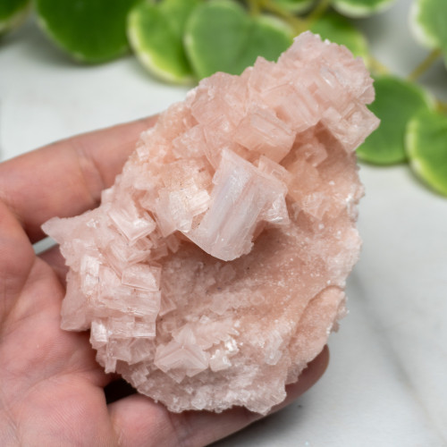 Pink Halite #2