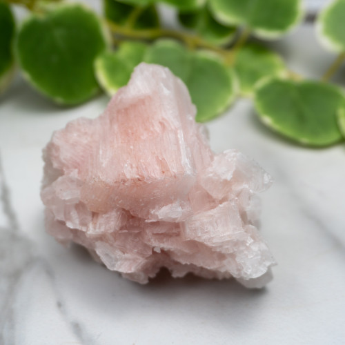 Pink Halite #1