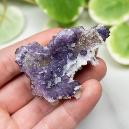 Tombstone Fluorite (Arizona) #8