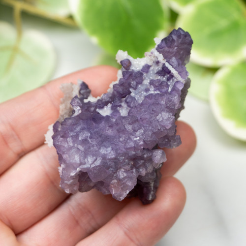 Tombstone Fluorite (Arizona) #8