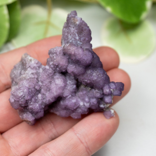 Tombstone Fluorite (Arizona) #7