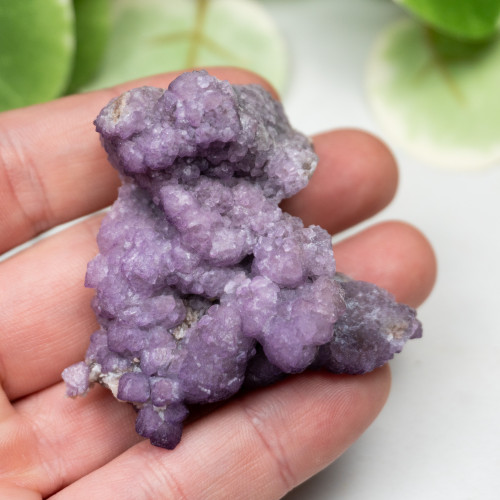 Tombstone Fluorite (Arizona) #7