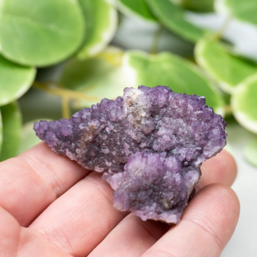 Tombstone Fluorite (Arizona) #6