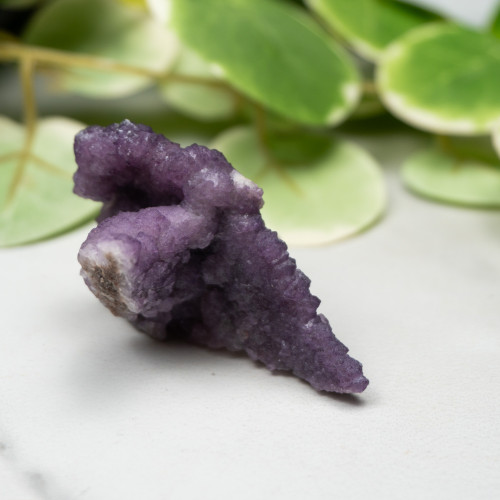 Tombstone Fluorite (Arizona) #6