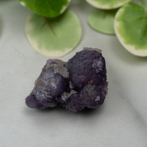 Tombstone Fluorite (Arizona) #5