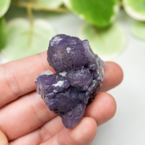 Tombstone Fluorite (Arizona) #5