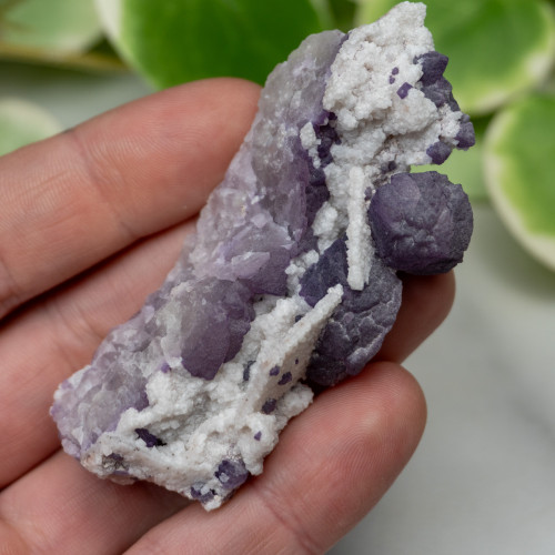 Tombstone Fluorite (Arizona) #4
