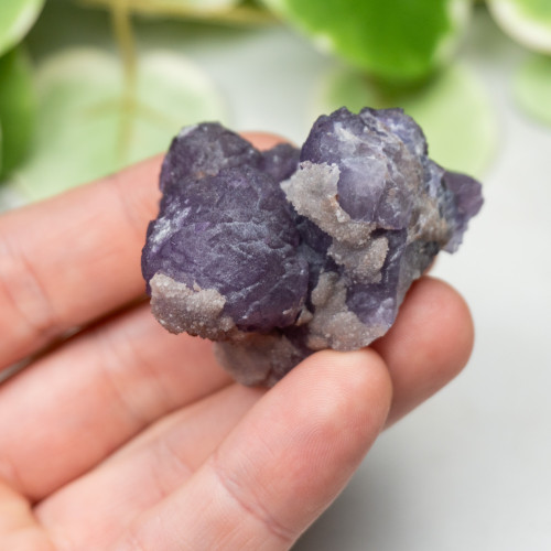 Tombstone Fluorite (Arizona) #5