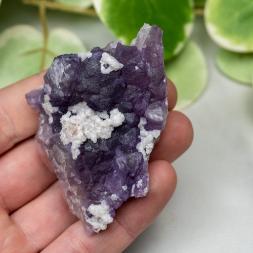 Tombstone Fluorite (Arizona) #3