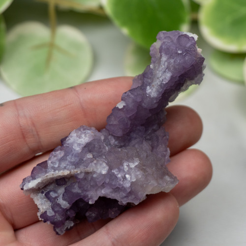 Tombstone Fluorite (Arizona) #1