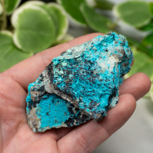 Raw Chrysocolla (New Mexico) #4