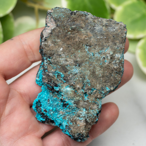 Raw Chrysocolla (New Mexico) #3