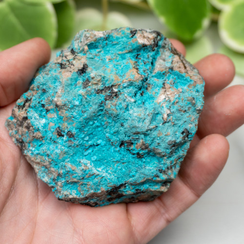 Raw Chrysocolla (New Mexico) #1