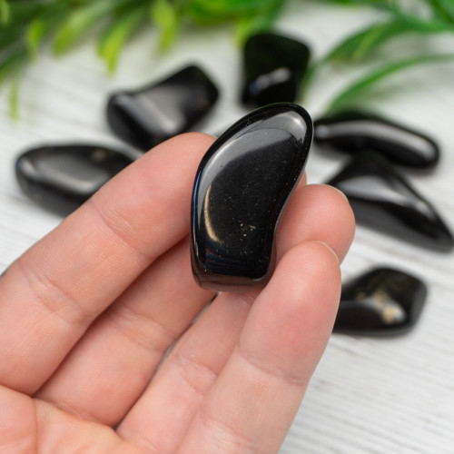 Lemurian Black Jade Tumbled