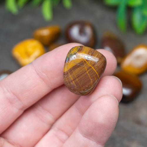 Desert Jasper Tumbled
