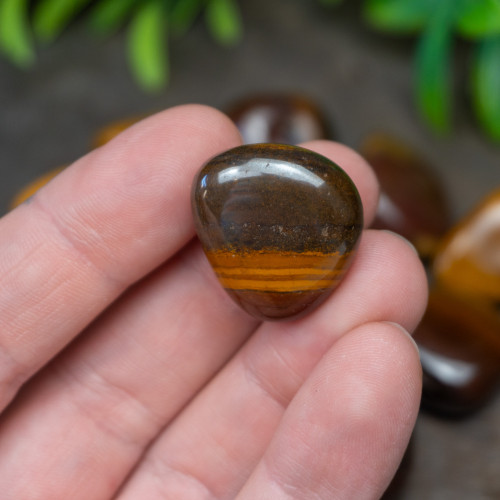 Desert Jasper Tumbled