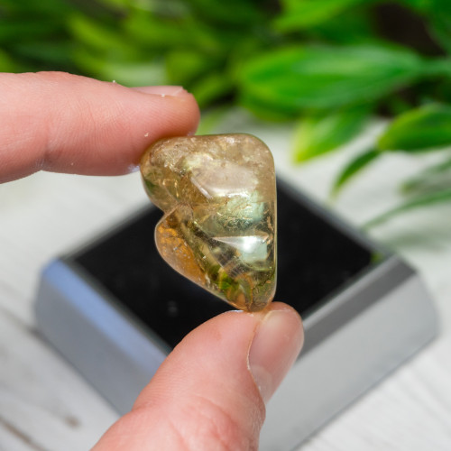 Polished Citrine #14