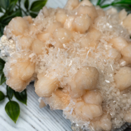 XL Apophyllite with Stilbite #1