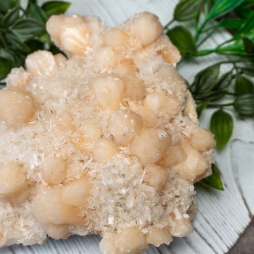 XL Apophyllite with Stilbite #1