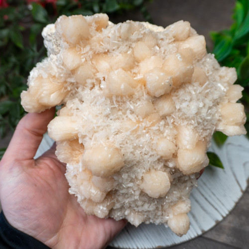 XL Apophyllite with Stilbite #1