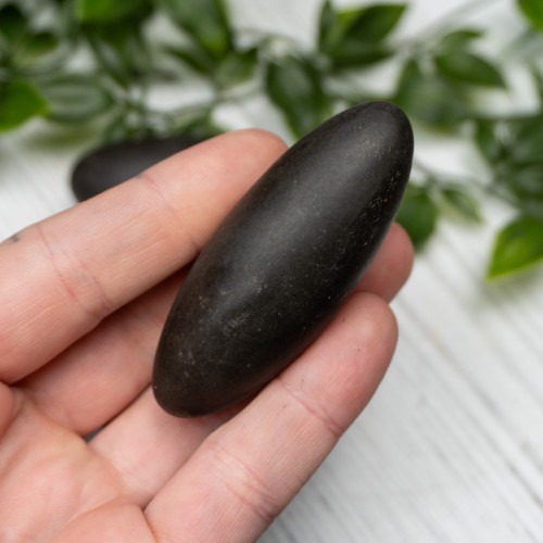 Black Shiva Lingam Medium Random